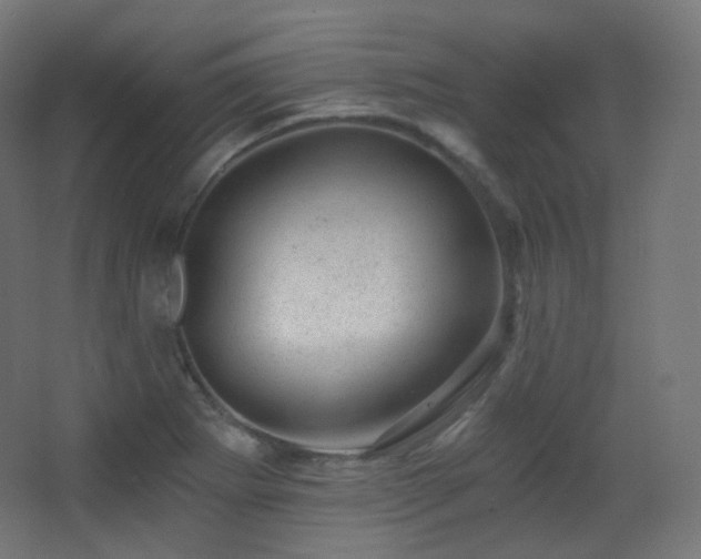 X0000068281273200604211101