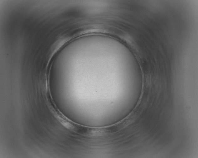 X0000068281274200604211101