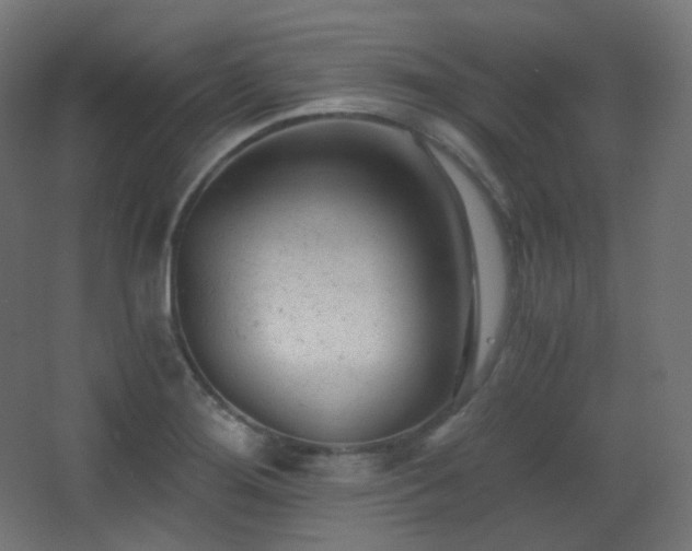 X0000068281276200604211101