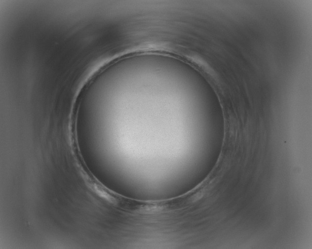 X0000068281278200604211101