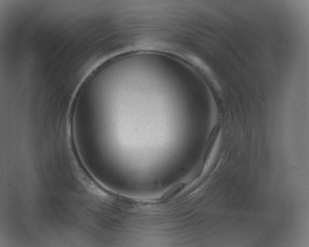 X0000068281280200604211101