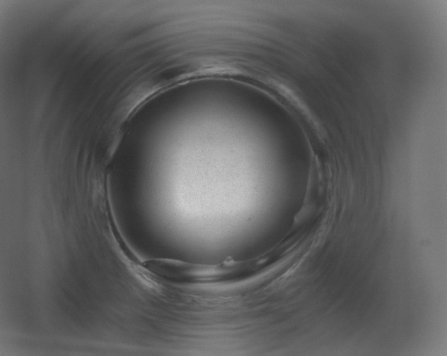 X0000068281281200604211101