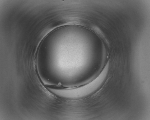 X0000068281284200604211101