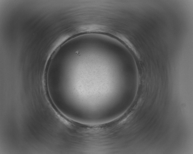 X0000068281285200604211101