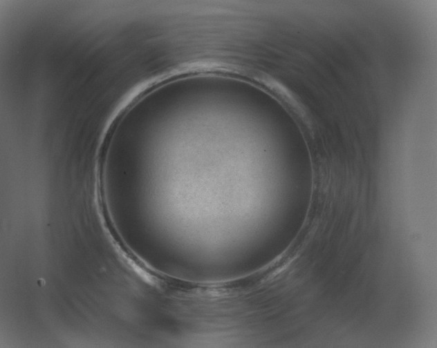 X0000068281286200604211101