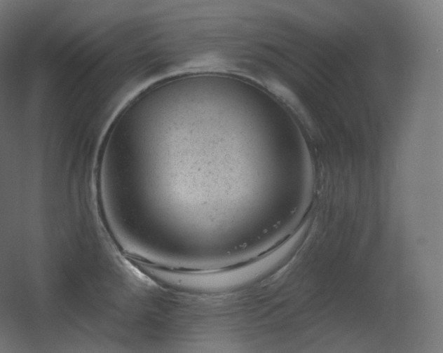 X0000068281288200604211101