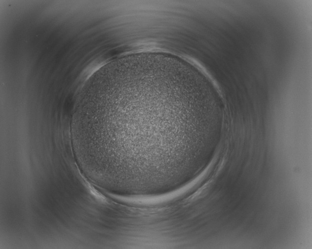 X0000068281289200604211101