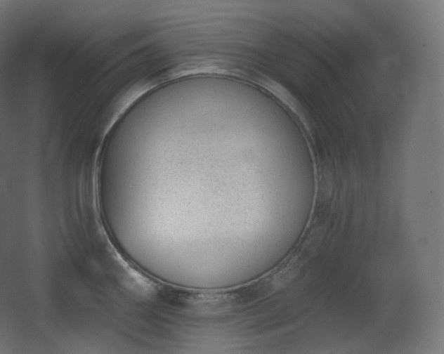 X0000068281290200604211101