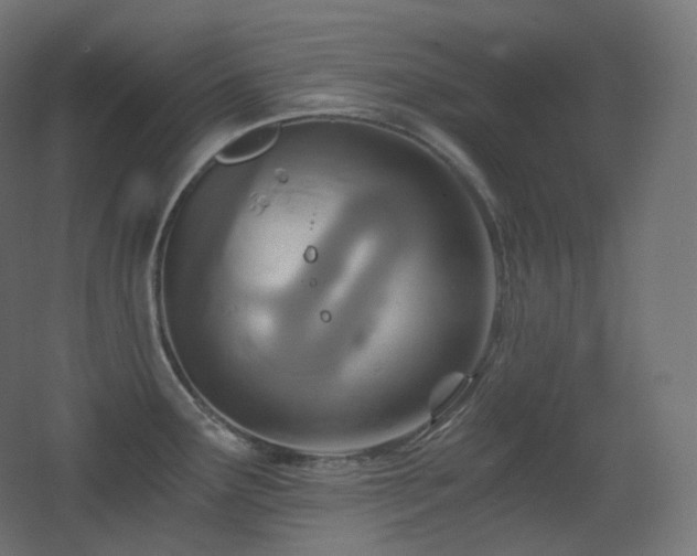 X0000068281291200604211101