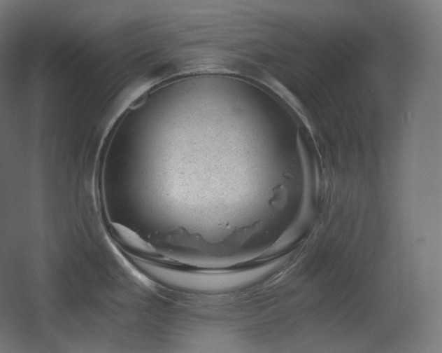 X0000068281293200604211101