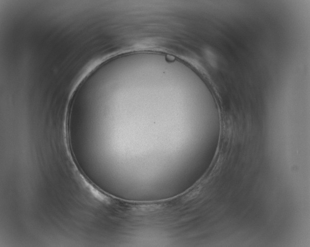X0000068281294200604211101
