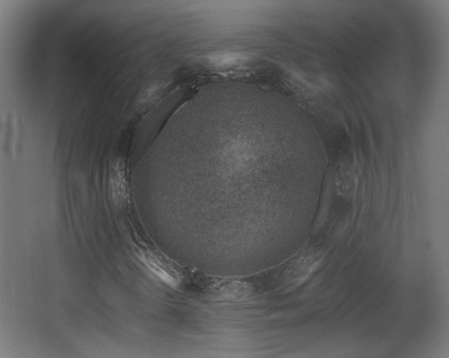 X0000068281298200604211100