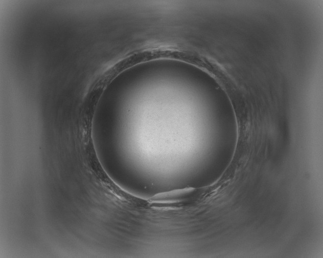 X0000068281303200604211100