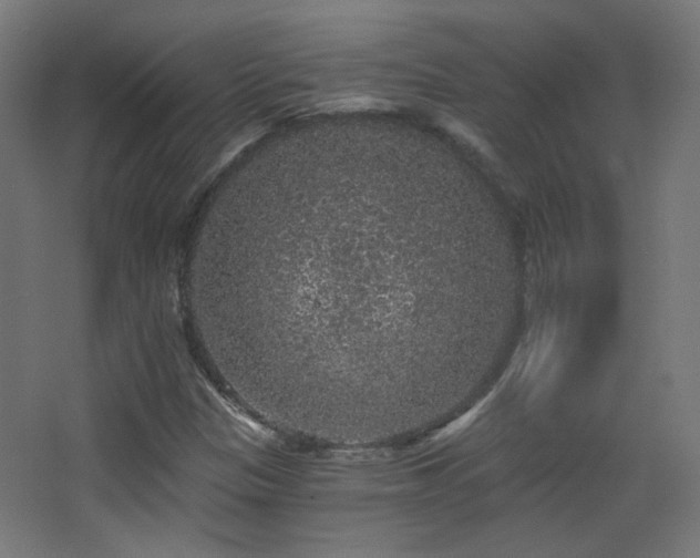 X0000068281305200604211100