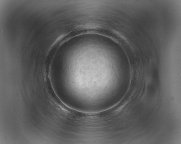 X0000068281306200604211100