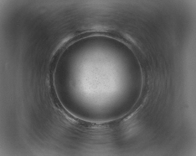 X0000068281307200604211100