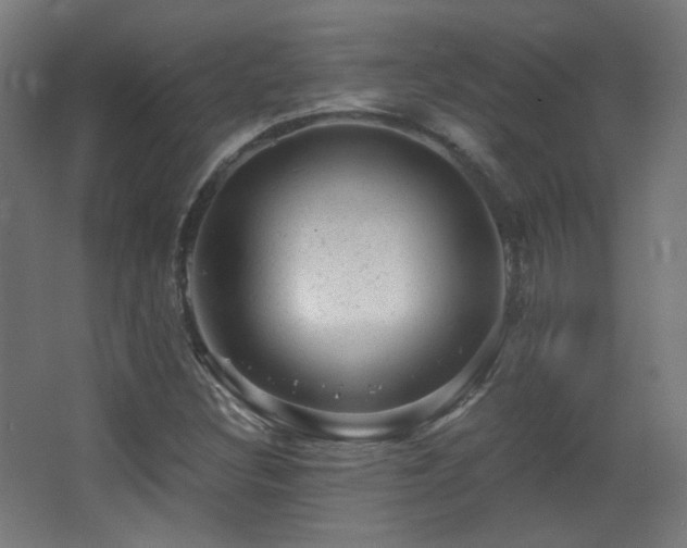 X0000068281308200604211100