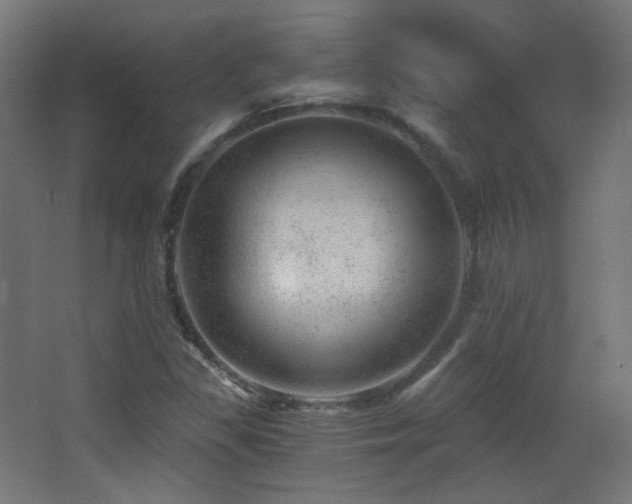 X0000068281309200604211100