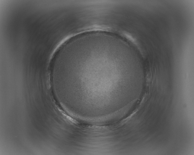 X0000068281310200604211100