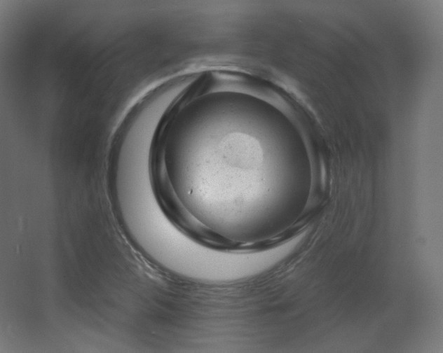 X0000068281312200604211100