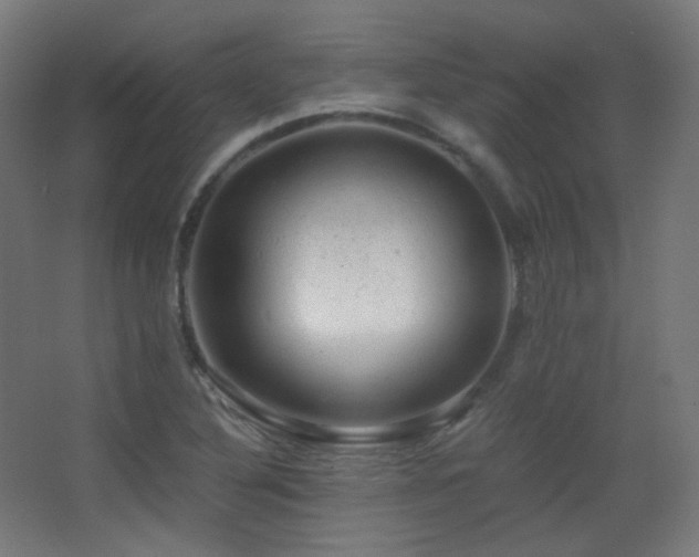 X0000068281316200604211101