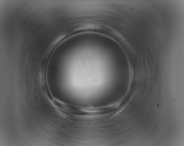 X0000068281321200604211101