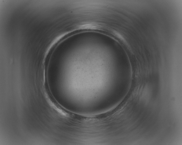 X0000068281323200604211101