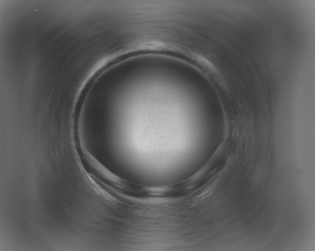 X0000068281326200604211101