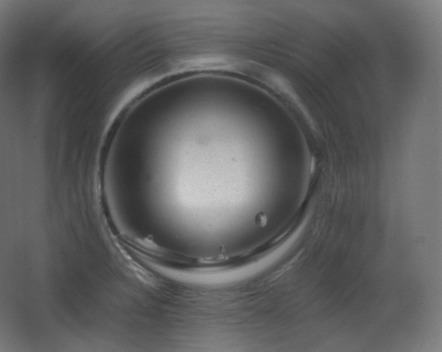 X0000068281328200604211101