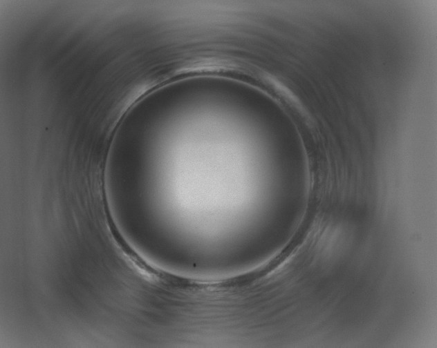 X0000068281329200604211101