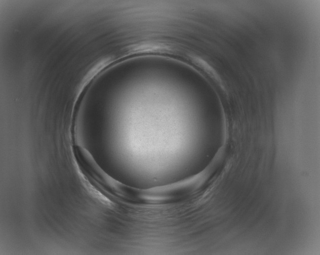 X0000068281330200604211101