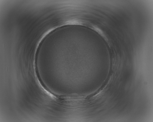 X0000068281331200604211101