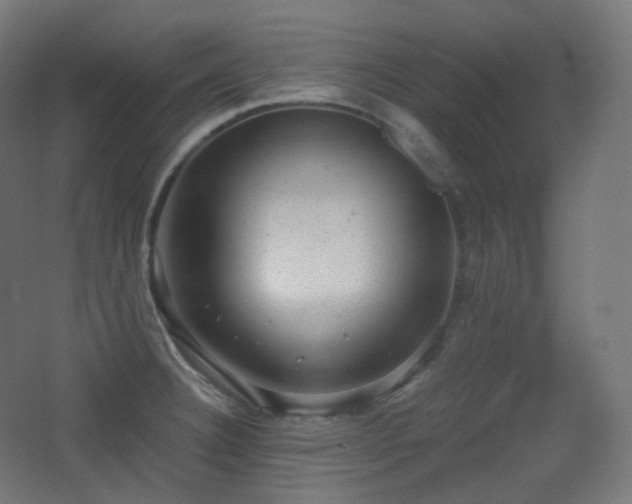 X0000068281332200604211101