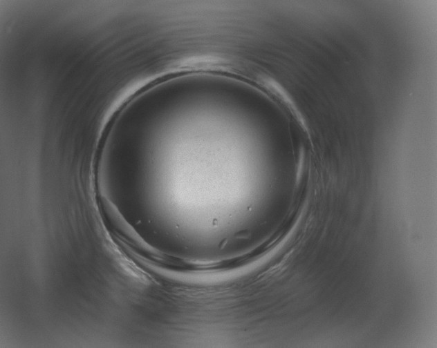 X0000068281336200604211101