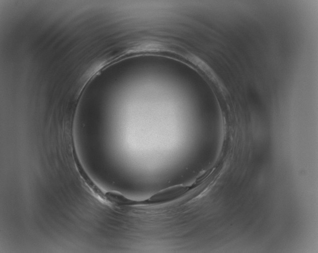 X0000068281337200604211101