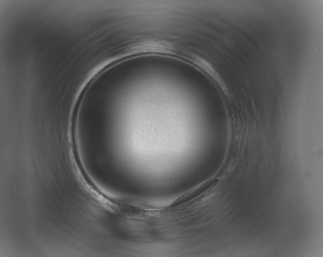 X0000068281339200604211101