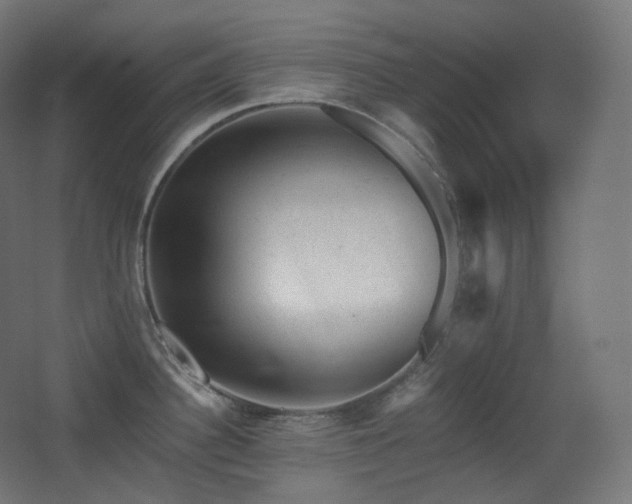 X0000068281340200604211101