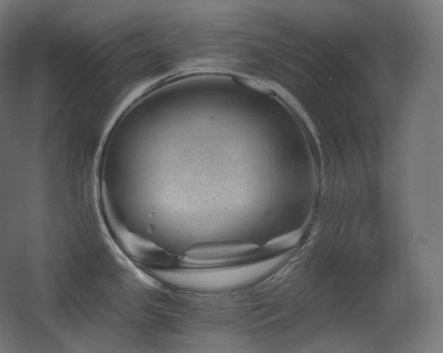 X0000068281341200604211101