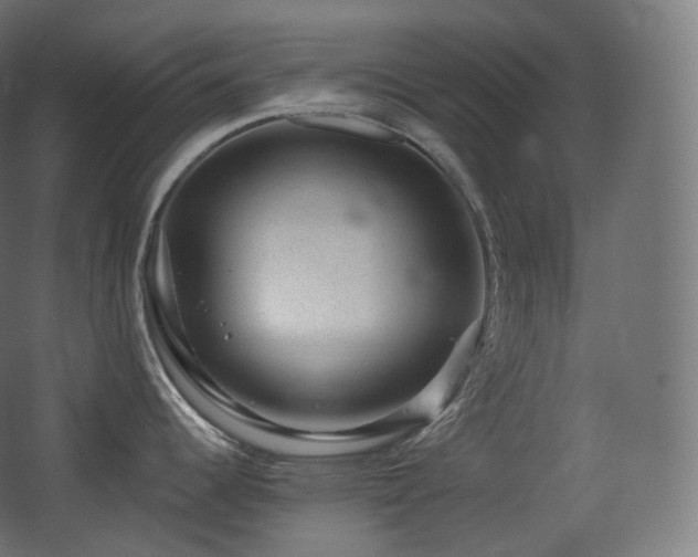 X0000068281344200604211101