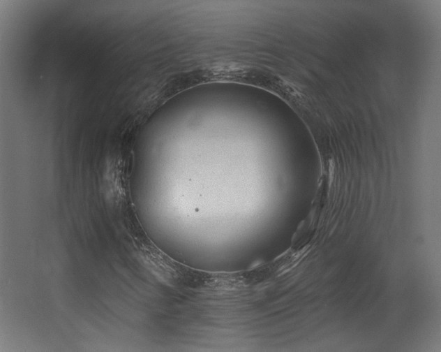 X0000068281346200604211100