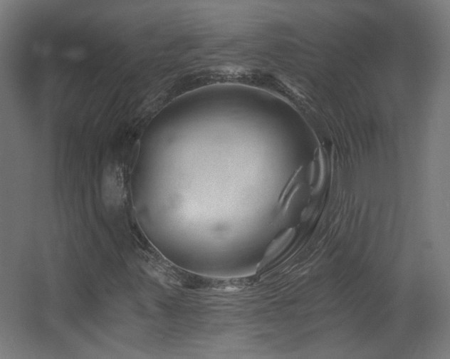 X0000068281347200604211100