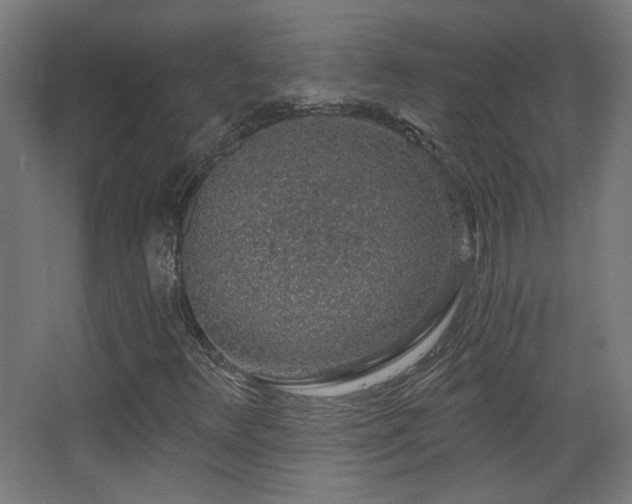 X0000068281348200604211100
