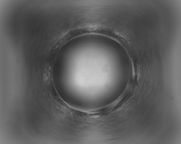 X0000068281349200604211100