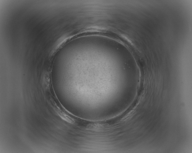 X0000068281355200604211100