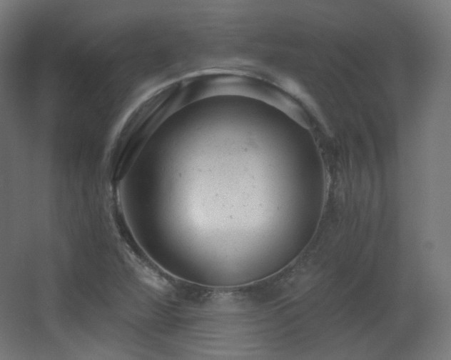 X0000068281360200604211100