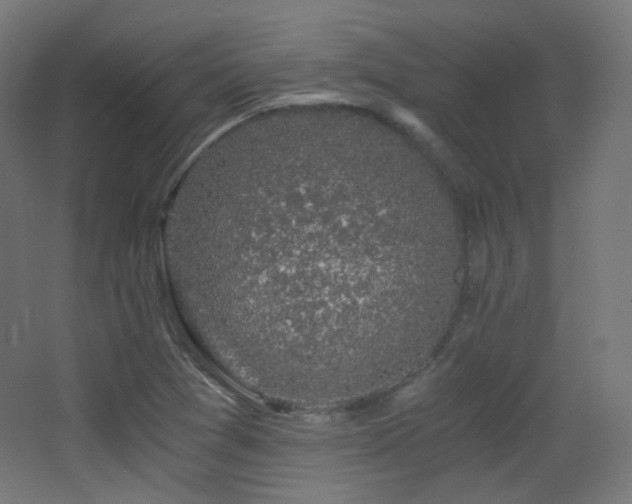X0000068281361200604211100