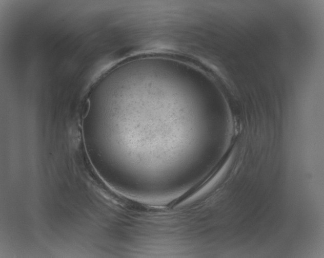 X0000068281363200604211100
