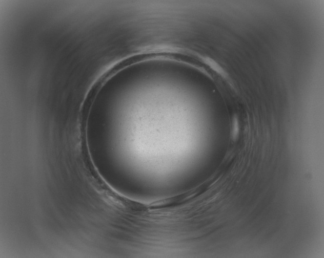 X0000068281364200604211100