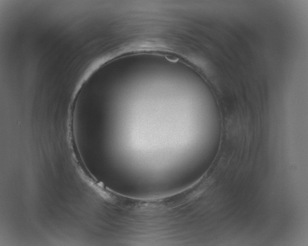 X0000068281374200604211100