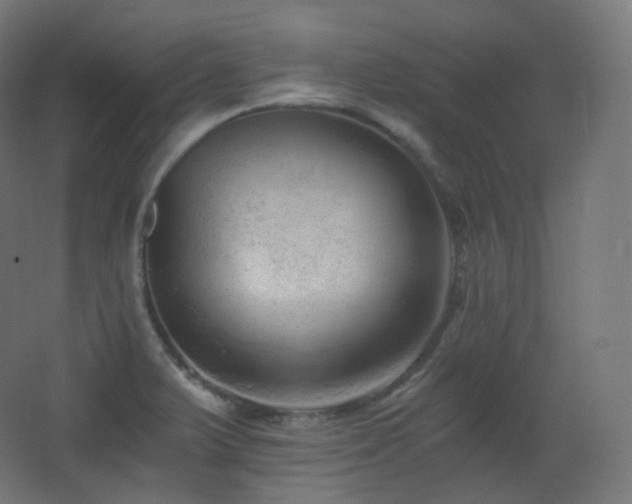 X0000068281375200604211100